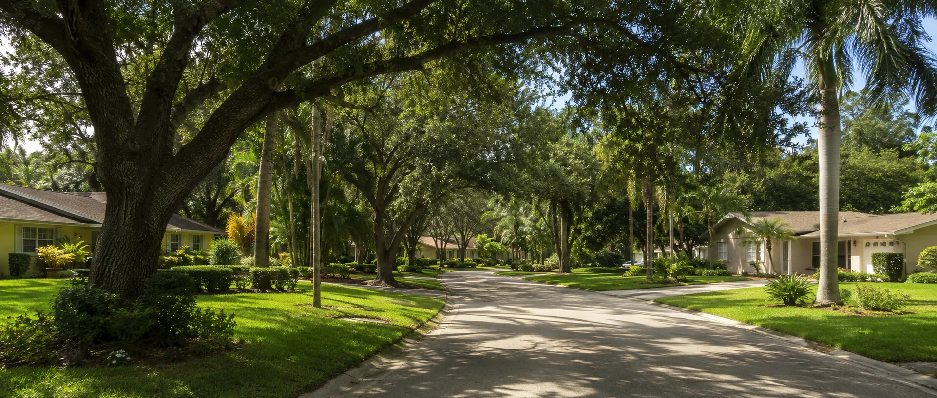 Acreage home, mature trees and open land representing the Buckingham-Olga area east of Fort Myers.